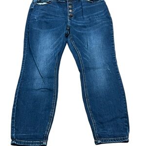 Judy Blue, Blue Jeans Button Fly Size 18W